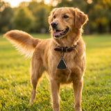 Roam Repel — Ultrasonic Tick Repellent