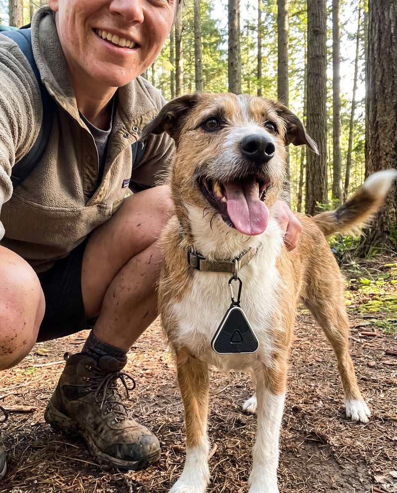 Person on a dog walk with Roam Repel on the dog's collar